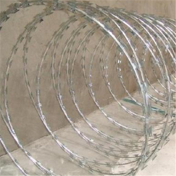 刀片刺網(wǎng)案例展示圖片3 刀片刺網(wǎng)案例展示圖片3